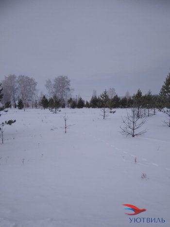 Земельный участок поселок Баженово в Краснотурьинске - krasnoturinsk.yutvil.ru - фото 2