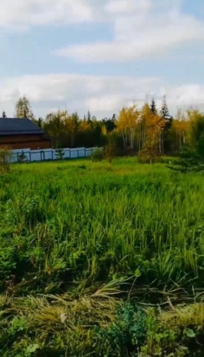 ДП Родной в Краснотурьинске - krasnoturinsk.yutvil.ru