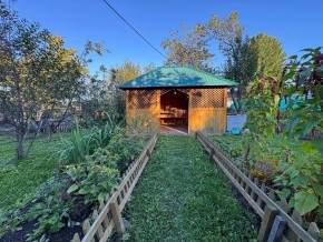 Екатеренбург сад Торгмаш, СНТ  Садовод, уч. 52 в Краснотурьинске - krasnoturinsk.yutvil.ru - фото 10