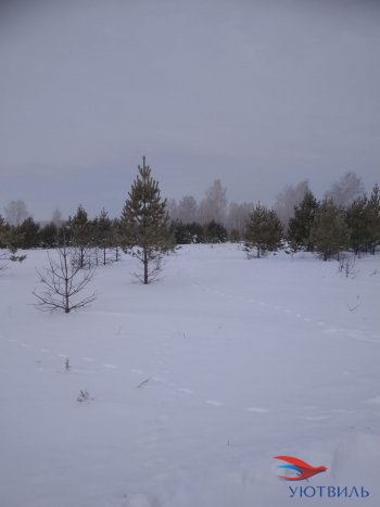 Земельный участок поселок Баженово в Краснотурьинске - krasnoturinsk.yutvil.ru - фото 5