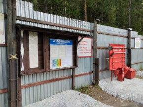 г.Верхняя Пышма СНТ №5 Березки в кв. 22 Среднеуральского Уралмашевского лесхоза в Краснотурьинске - krasnoturinsk.yutvil.ru - фото 18