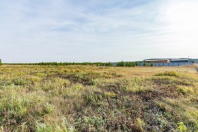 Российская Федерация, Свердловская область, Сысертский городской округ, территория садоводческого некоммерческого товарищества Бобровские дачи, улица Каштановая, земельный участок № 38 в Краснотурьинске - krasnoturinsk.yutvil.ru - фото 24