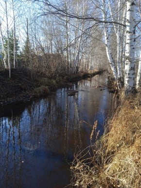 СНТ Берёзка в Краснотурьинске - krasnoturinsk.yutvil.ru - фото 14