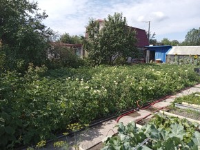 СНТ Медик-2 в Краснотурьинске - krasnoturinsk.yutvil.ru - фото 6