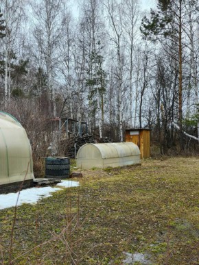 СНТ Родники в Краснотурьинске - krasnoturinsk.yutvil.ru - фото 14 СНТ Родники в Краснотурьинске - krasnoturinsk.yutvil.ru - фото 14