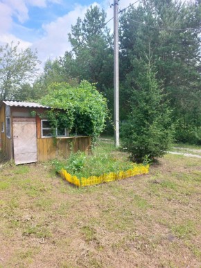 СНТ Родники в Краснотурьинске - krasnoturinsk.yutvil.ru - фото 1 СНТ Родники в Краснотурьинске - krasnoturinsk.yutvil.ru - фото 1