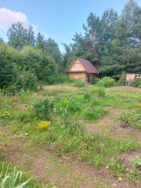 СНТ Родники в Краснотурьинске - krasnoturinsk.yutvil.ru - фото 2 СНТ Родники в Краснотурьинске - krasnoturinsk.yutvil.ru - фото 2