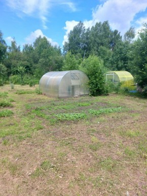 СНТ Родники в Краснотурьинске - krasnoturinsk.yutvil.ru - фото 3 СНТ Родники в Краснотурьинске - krasnoturinsk.yutvil.ru - фото 3