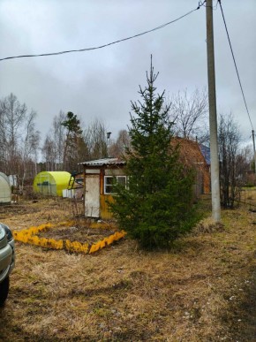 СНТ Родники в Краснотурьинске - krasnoturinsk.yutvil.ru - фото 5