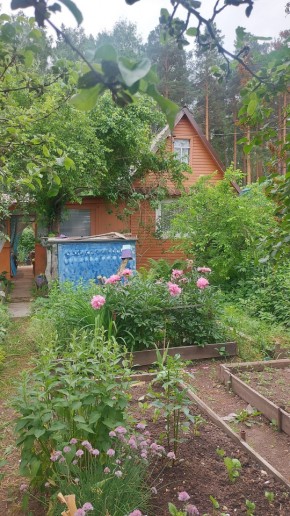 СНТ Садовод-24 в Краснотурьинске - krasnoturinsk.yutvil.ru