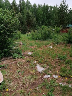 СТН Семья №112, Верхняя пышма на землях бывшего подсобного хозяйтва верхнепышминского опытного завода в Краснотурьинске - krasnoturinsk.yutvil.ru - фото 17 СТН Семья №112, Верхняя пышма на землях бывшего подсобного хозяйтва верхнепышминского опытного завода в Краснотурьинске - krasnoturinsk.yutvil.ru - фото 17