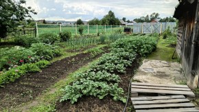 ул. 8-е Марта,46 в Краснотурьинске - krasnoturinsk.yutvil.ru - фото 5 ул. 8-е Марта,46 в Краснотурьинске - krasnoturinsk.yutvil.ru - фото 5