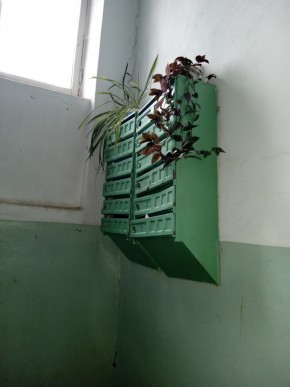 ул. Бажова,11 в Краснотурьинске - krasnoturinsk.yutvil.ru - фото 3