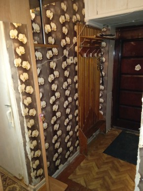 ул. Бажова,11 в Краснотурьинске - krasnoturinsk.yutvil.ru - фото 9