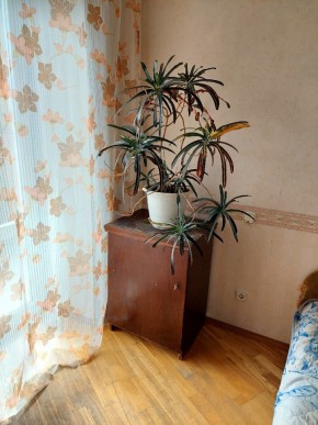 ул. Индустрии,29 в Краснотурьинске - krasnoturinsk.yutvil.ru - фото 4