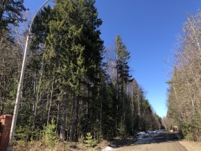 ул. Калиновая,9 в Краснотурьинске - krasnoturinsk.yutvil.ru - фото 3