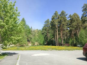 ул. Сосновая, 8 в Краснотурьинске - krasnoturinsk.yutvil.ru - фото 26
