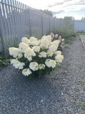 ул. Весенняя,12 в Краснотурьинске - krasnoturinsk.yutvil.ru - фото 20